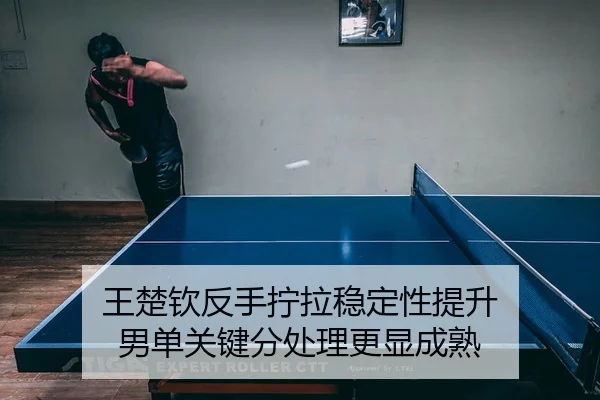 wang-chu-qin-fan-shou-ning-la-wen-ding-xing-ti-sheng-nan-dan-guan-jian-fen-chu-li-geng-xian-cheng-shu-2-253.jpg